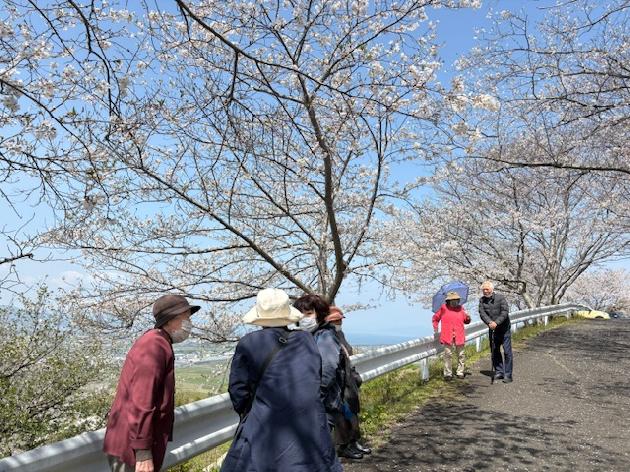 お花見に行ってきました！_画像2