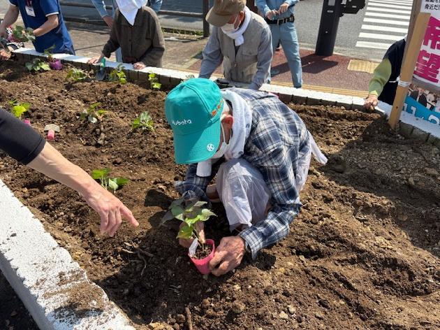花壇にサツマイモを植えました！_画像4